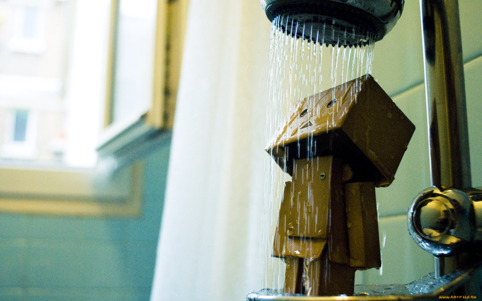 , , danboard
